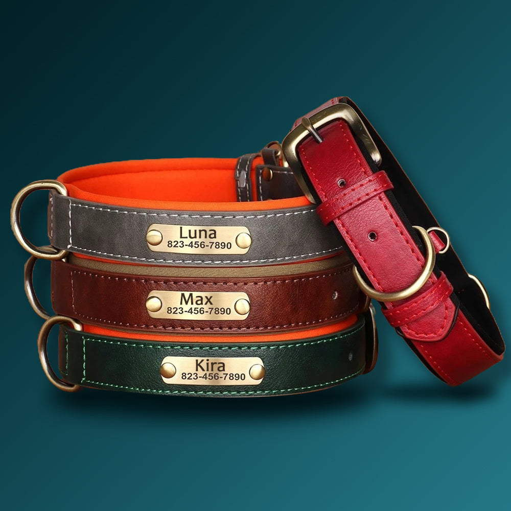 Collar de Cuero Personalizado - Amor con el Nombre de tu Peludito 🐶🐱