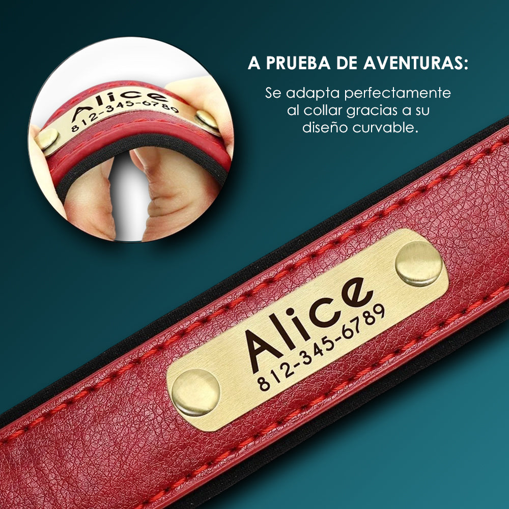 Collar de Cuero Personalizado - Amor con el Nombre de tu Peludito 🐶🐱