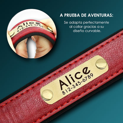 Collar de Cuero Personalizado - Amor con el Nombre de tu Peludito 🐶🐱