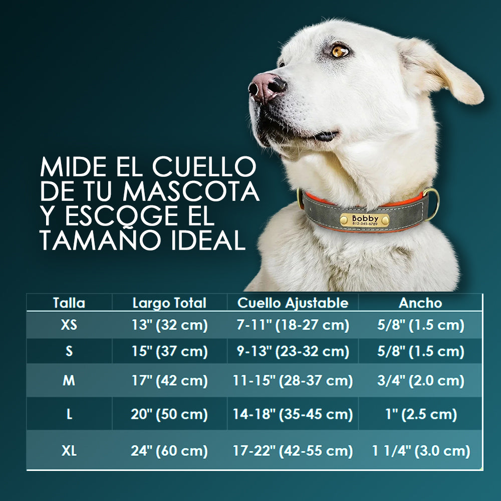 Collar de Cuero Personalizado - Amor con el Nombre de tu Peludito 🐶🐱