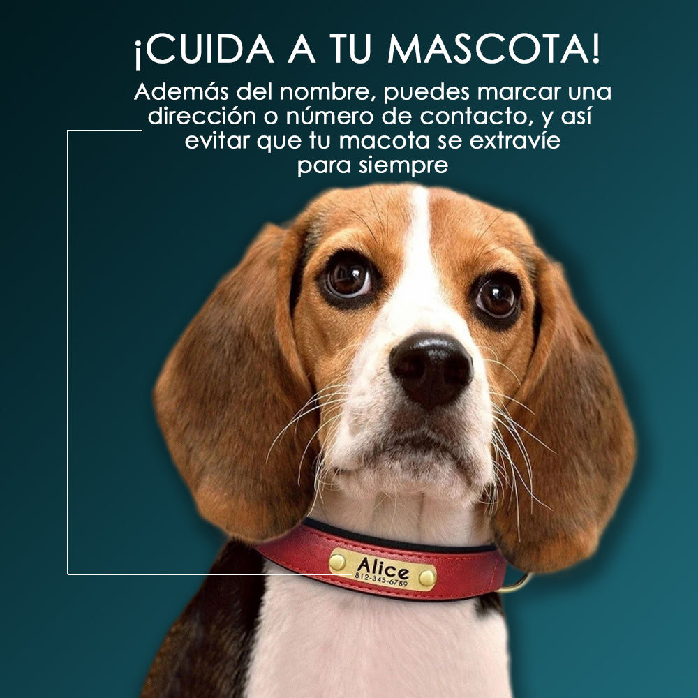 Collar de Cuero Personalizado - Amor con el Nombre de tu Peludito 🐶🐱