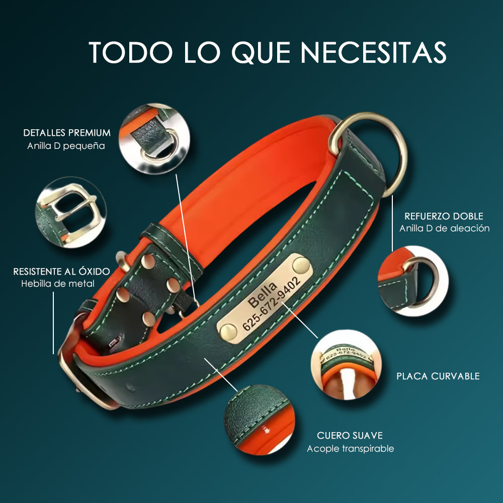 Collar de Cuero Personalizado - Amor con el Nombre de tu Peludito 🐶🐱