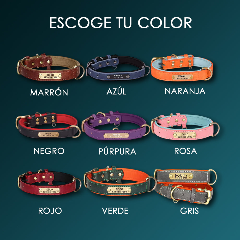Collar de Cuero Personalizado - Amor con el Nombre de tu Peludito 🐶🐱